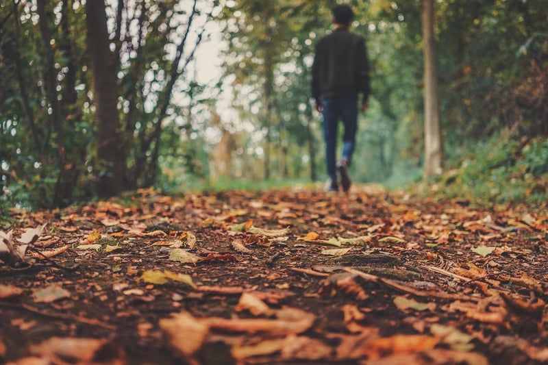 Autumn Leaves