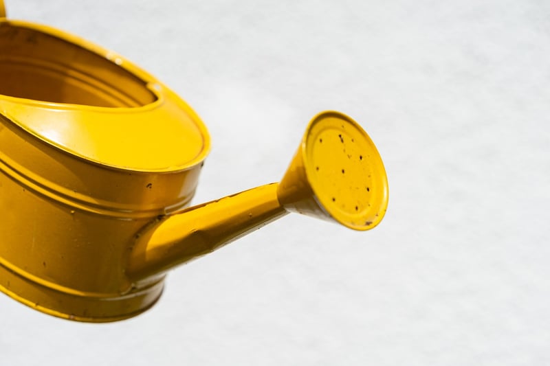 Watering can for plant care